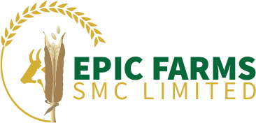 epic farms logo-1
